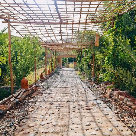 Riad Aman Skoura Ngoại thất bức ảnh