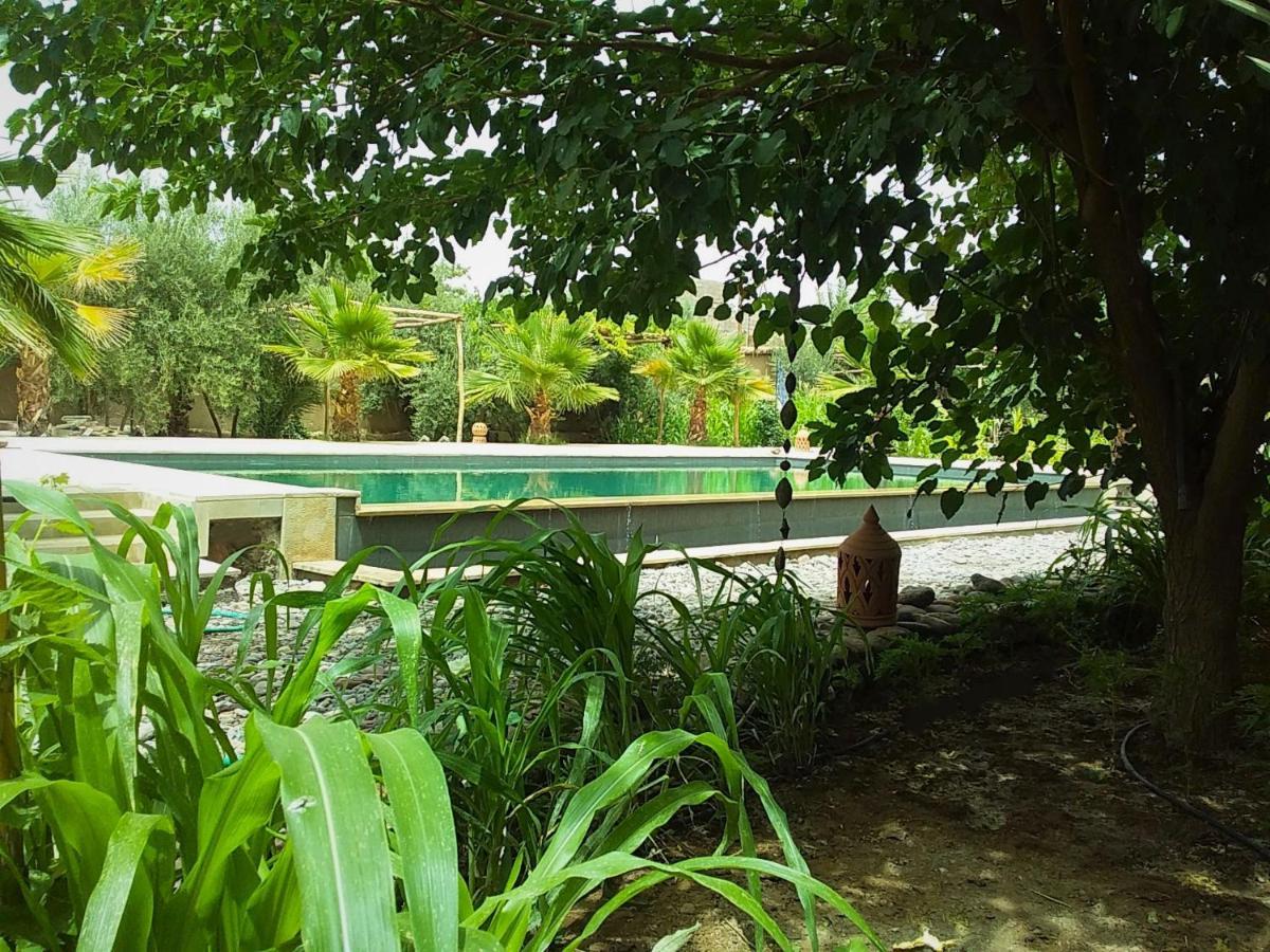 Riad Aman Skoura Ngoại thất bức ảnh