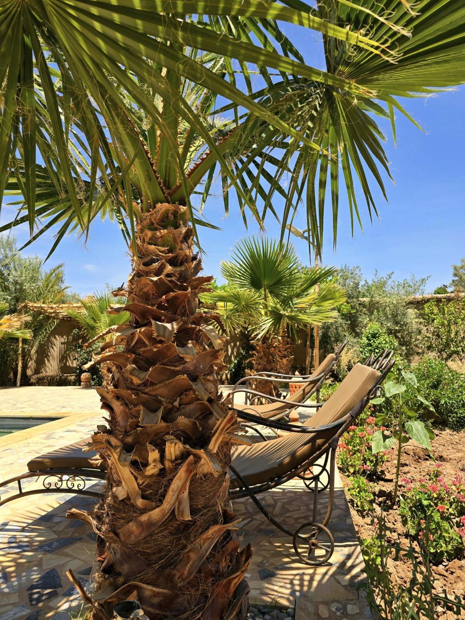 Riad Aman Skoura Ngoại thất bức ảnh