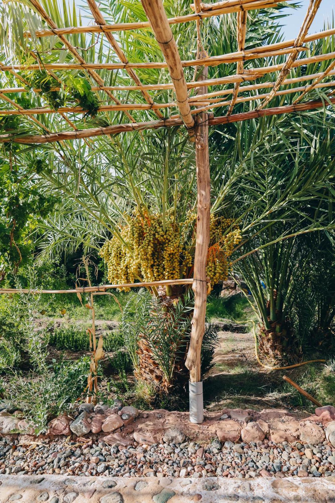 Riad Aman Skoura Ngoại thất bức ảnh